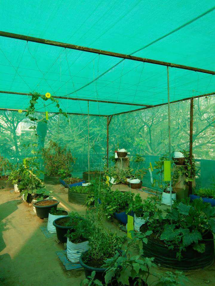 Shade Nets In Hyderabad
